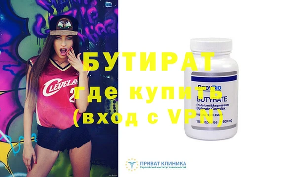 индика Бородино
