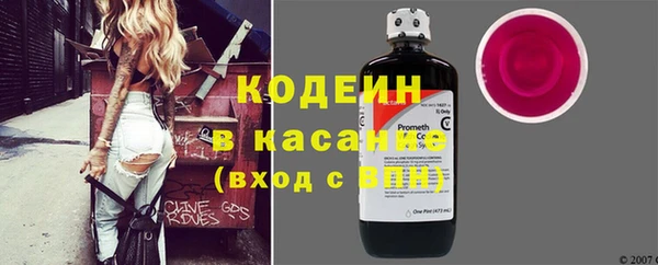 индика Бородино