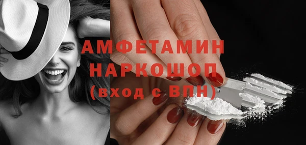 индика Бородино