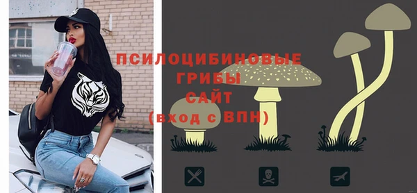 прущие крисы Бугульма