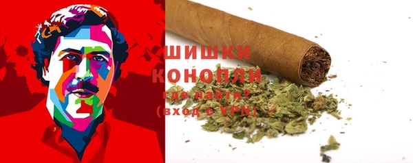 индика Бородино