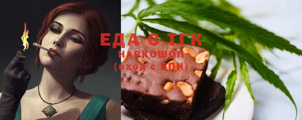 индика Бородино