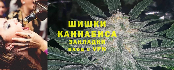 индика Бородино