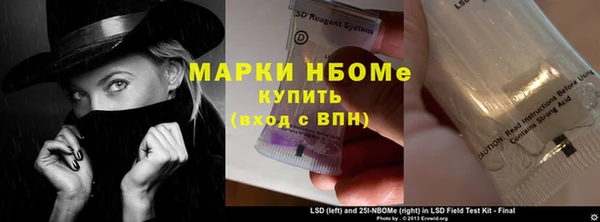 индика Бородино