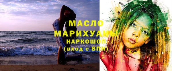 индика Бородино