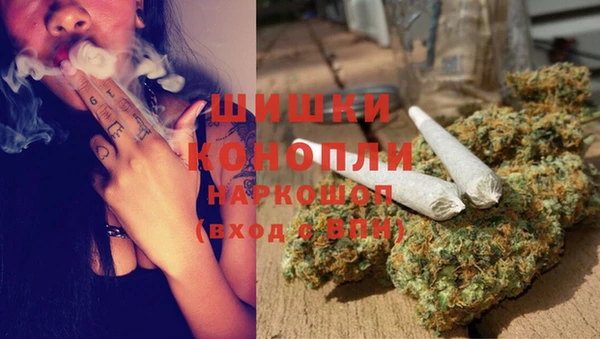 индика Бородино