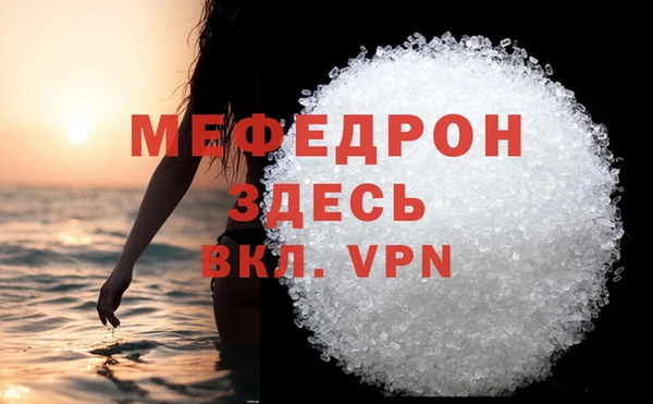 индика Бородино