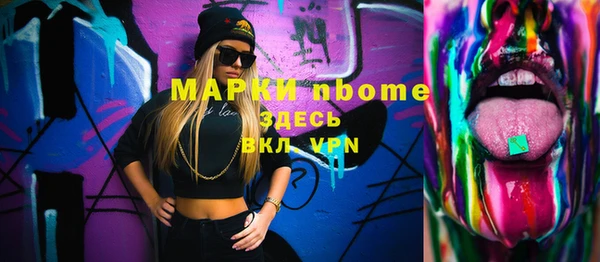 индика Бородино