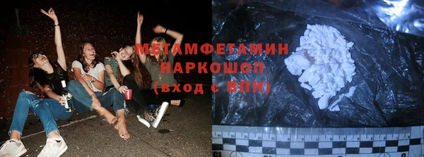 индика Бородино