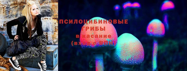 МДПВ Богородск