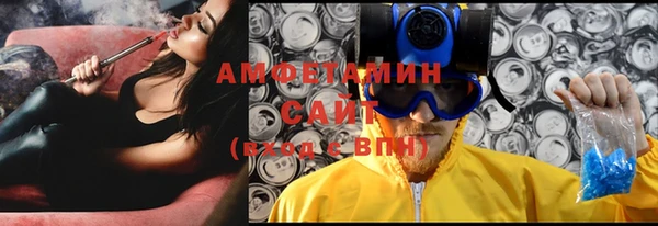 индика Бородино