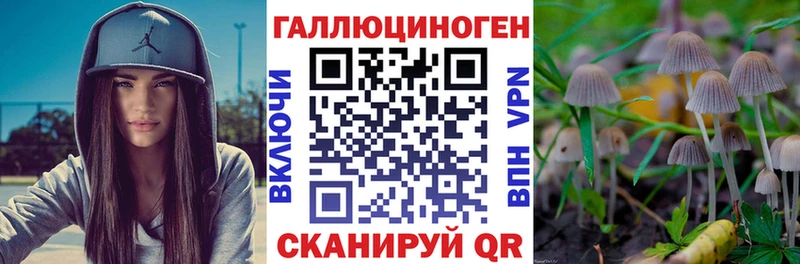 закладки  Брянск  Галлюциногенные грибы MAGIC MUSHROOMS 
